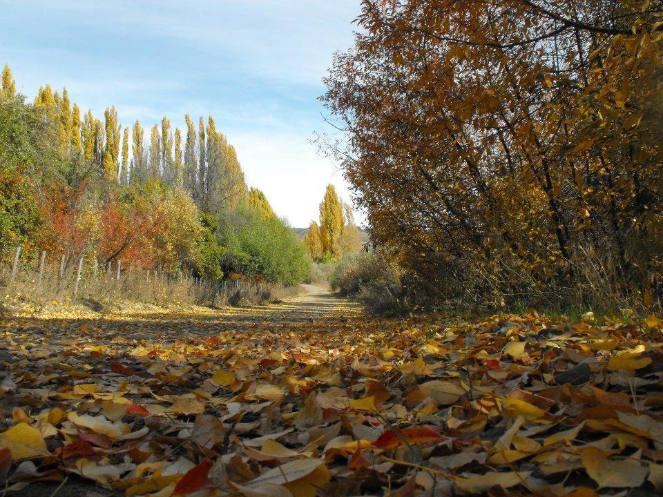 Posada De Campo La Calma Алуміне Екстер'єр фото